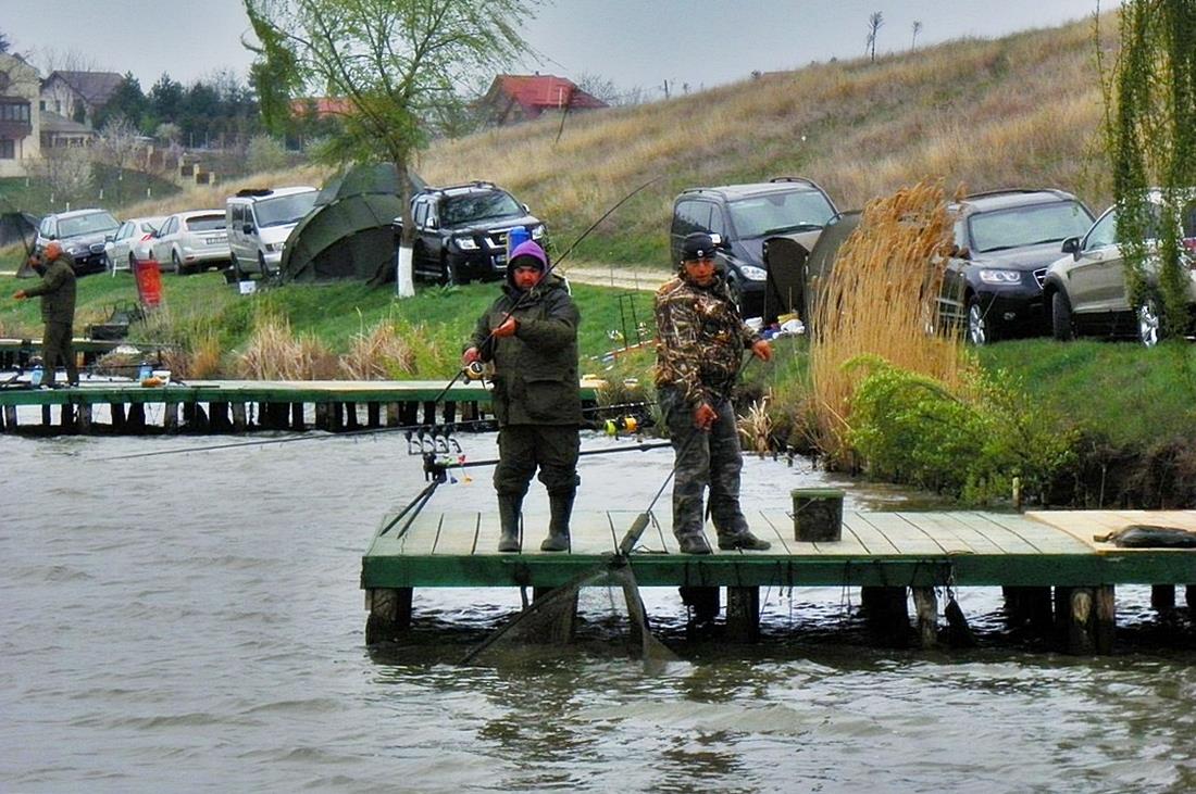 pescuit ,pur si simplu - 1001651jpgoriginal.jpg